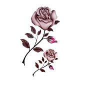 5 Stück stieg wasserdicht temporäres Tattoo (17,5 cm * 10cm)