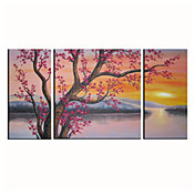 Peinture à l'huile réalisée à la main florale sur canevas tendu - Set de 3
