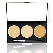 3 Colors Concealer