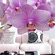 Orchid Decorazione floreale natura