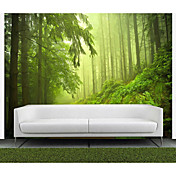 Groene Bomen Natuur Mural