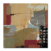 בד מתוח מדפיס 24 "x 24" המופשט