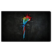 Hand Painted Oliemaleri Animal Parrot 1211-AN0030