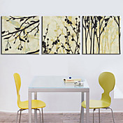 Stretched Canvas Print Botanical Set of 3 1301-0180