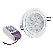 Dimmable 12W 1080LM 3000-3500K Warm White Light LED Ceiling Bulb (220-240V)