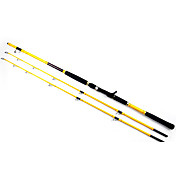 195/210cm Two Tips Casting Fishing Rod (50#/80# Sections)