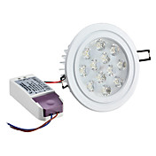 Dimmable 12W 1080LM 6000-6500K Natural White Light LED Ceiling Bulb (220-240V)