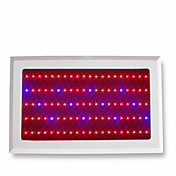 Planta LED cresce a luz com 144 LEDs