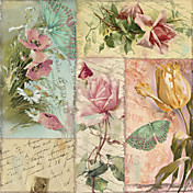 Trykte kunst Blomster Belles Fleurs Jeg ved Color Bakery