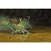 Printed Art Animal Fawn Brook by Michael Budden