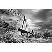 Printed Art Landscape First Link by Michael de Guzman