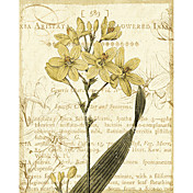gedrukte kunst Bloemen en planten gele bloemen van Philippa