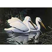 Printed Art Animal Pelicans by Michael Budden