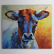 Hand Painted Oliemaleri Animal Bull 1304-AN0077