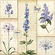 Trykt Art botaniske Etude De Fleur jeg av Peggy Harris