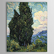 Pittura a olio famosa Paintings_cypresses di Van Gogh