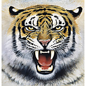 Printed Art Animal Tiger by Harro Maass