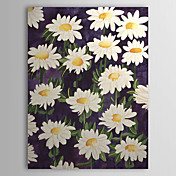 Dipinti a mano olio pittura floreale 1305-FL0129