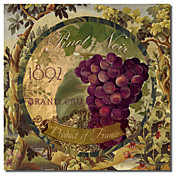 Trykt Canvas Art Wines of France II av Color Bakeri med utstrakte ramme