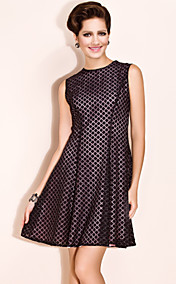 TS Polka Dot Lace Dress