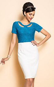 TS Contrast Color Short Sleeve Sheath Dress