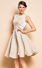 TS Jacquard Sleeveless Skater Dress