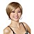  Capless Short Golden Brown With Blonde Synthetic Bob Hair Wig