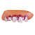  diente de goma horribles + dedo fijado para Halloween (5-piece set)