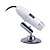  BW908 AV Output 1.3M Pixel 400X Zooming Digital Microscope Camera with 4-LED Illumination (PAL)