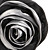  shell bolso de noche de raso bolso de embrague (0986-9989)
