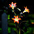  Solar-LED-Licht Blume (1049-cis-28077)