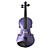  4/4 glänzende massive Fichte Violine (multi-color)