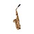  HLS1 Student Alto Saxophone