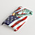  Hard Case for iTouch 4 with The Pattern US Flag Pattern & Statue of Liberty