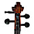  satinato violino con cassa in legno massello di abete / arco / colofonia (multi-size)