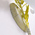  Applique murale de style campagnard avec 1 lumière à l'ombre de fleurs blanches