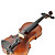  Hailing - (HZYVL-DBL) 4/4 High-Grade Archaize Solid Flame Maple Violin Outfit