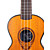  ella - (uk-23) okume Konzert-Ukulele