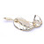  Gorgeous Alloy With Rhinestones Brooch