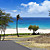  Coastal Landscapes Beach and Tropical Nature Mural