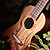  Rainie - (CP-01) High-Grand Solid Mahogany Concert Ukulele with Gig Bag/Tuner (Plant Tatoo)