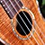  Rainie - (C50) Professional-Grade Solid Acacia Koa Concert Ukulele with Gig Bag/Tuner (Pearl Binding)