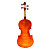  violintine - (v29) 4/4 di livello professionale legno massello di abete e 1-pezzo per violino in acero fiammato con scatola / fiocco