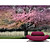  Mural Natureza florescente árvore