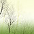  Feuilles contemporain mural Nature Graphics