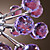  Lámpara Chandelier de Cristal con 6 Bombillas - BEVERLEY
