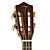  TOM - (TUC-680M) Solid Spruce Concert Ukulele with Bag