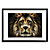  Printed Art Animal Lion by SD Smart