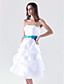 A-line Strapless Knee-length Taffeta Pick-up Bridesmaid/Homecoming Dress
