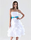  A-line Strapless Knee-length Taffeta Pick-up Bridesmaid/Homecoming Dress